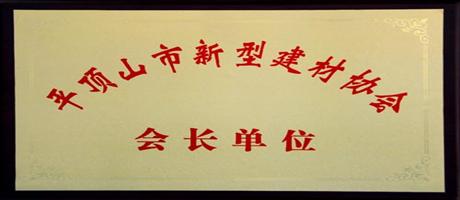 华体会网页版-华体会（中国）,公司被授予“平顶山市新型建材协会会长单位”