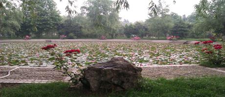 华体会网页版-华体会（中国）,公司莲花池