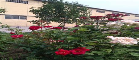 华体会网页版-华体会（中国）,公司生产区一景