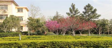 华体会网页版-华体会（中国）,春景（四）