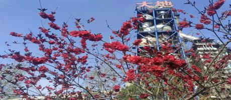 华体会网页版-华体会（中国）,春景（六）