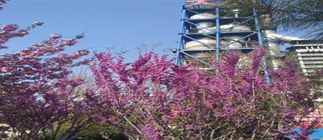 华体会网页版-华体会（中国）,春景（十）