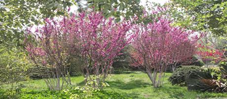 华体会网页版-华体会（中国）,春色（四）