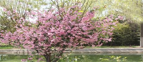 华体会网页版-华体会（中国）,春色（六）